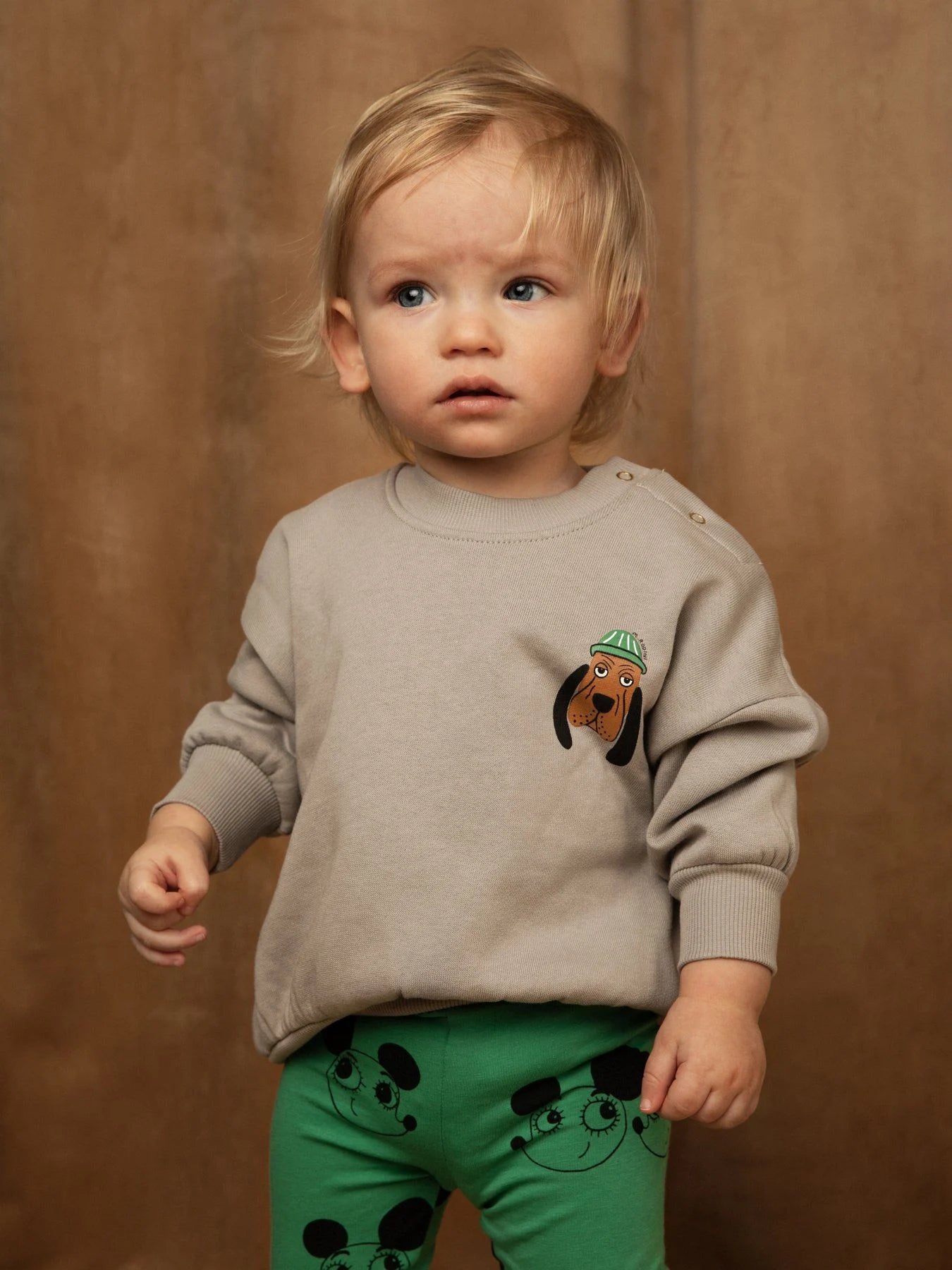 BLOODHOUND SWEATSHIRT GREY - MINI RODINI