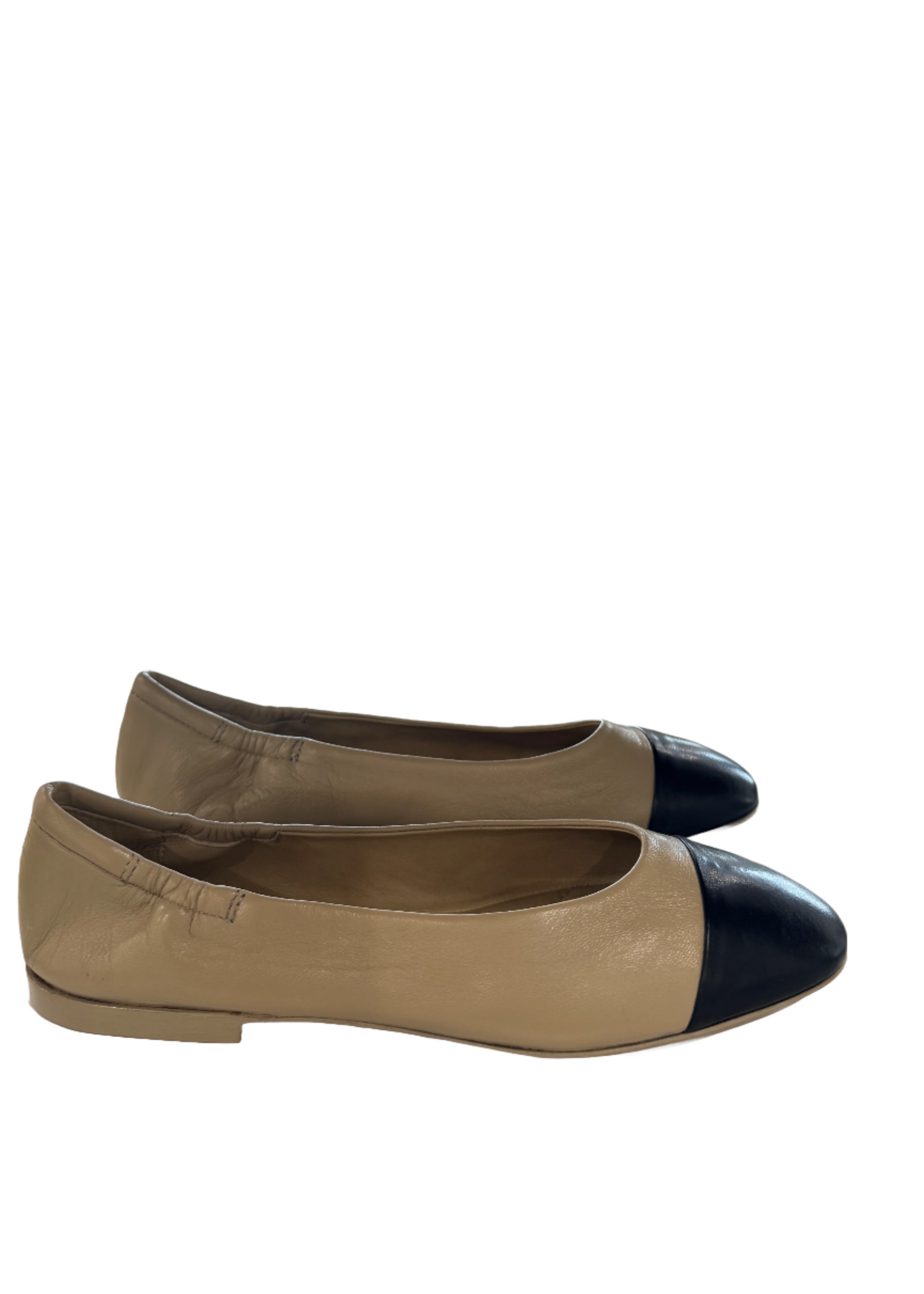 GOCCIA - ECRU & BLACK SHOE - POMME D'OR